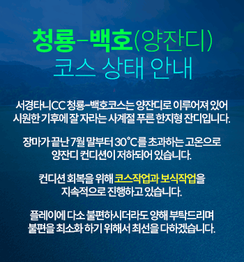 양잔디 코스 상태 안내